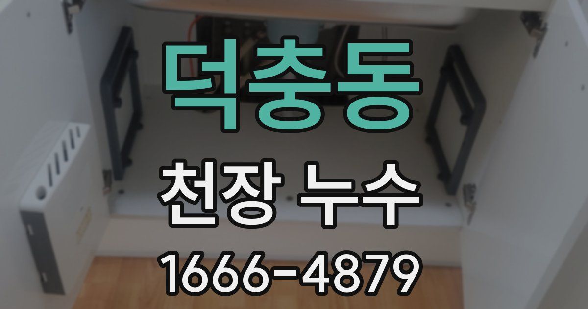 덕충동 천장 누수