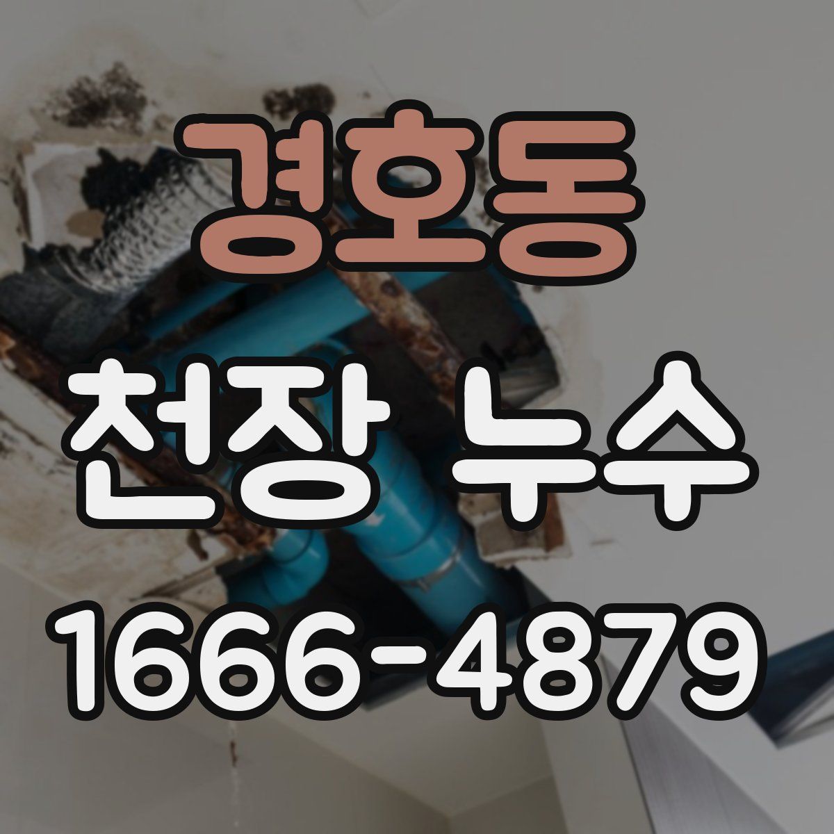 경호동 천장 누수
