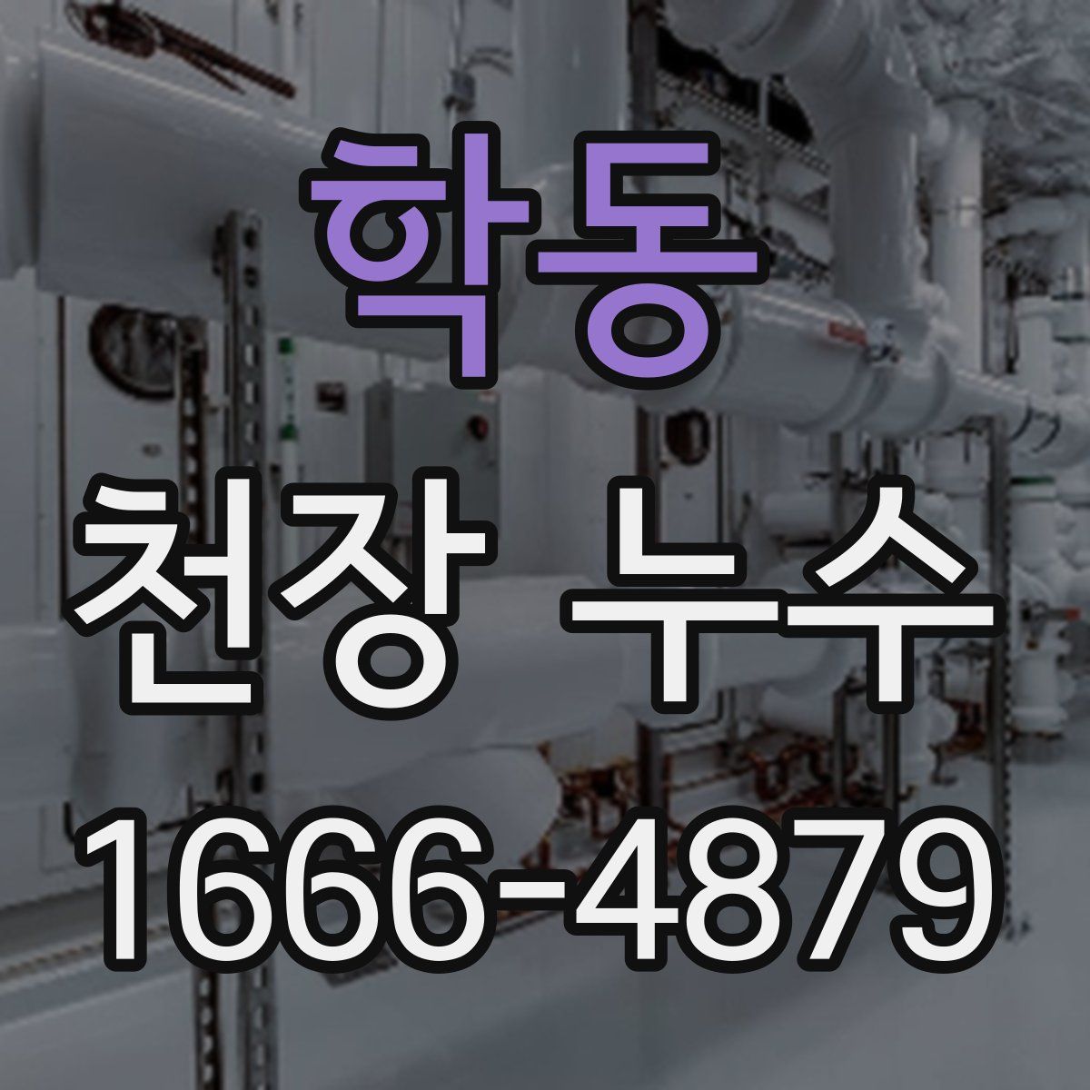 학동 천장 누수