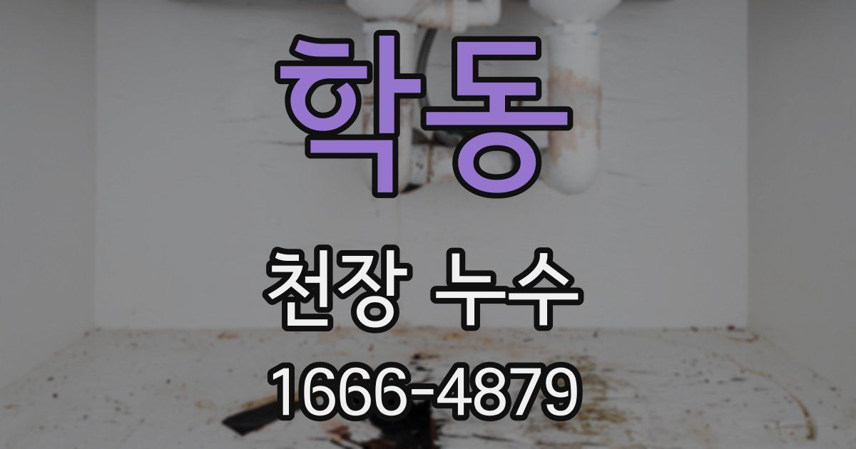 학동 천장 누수