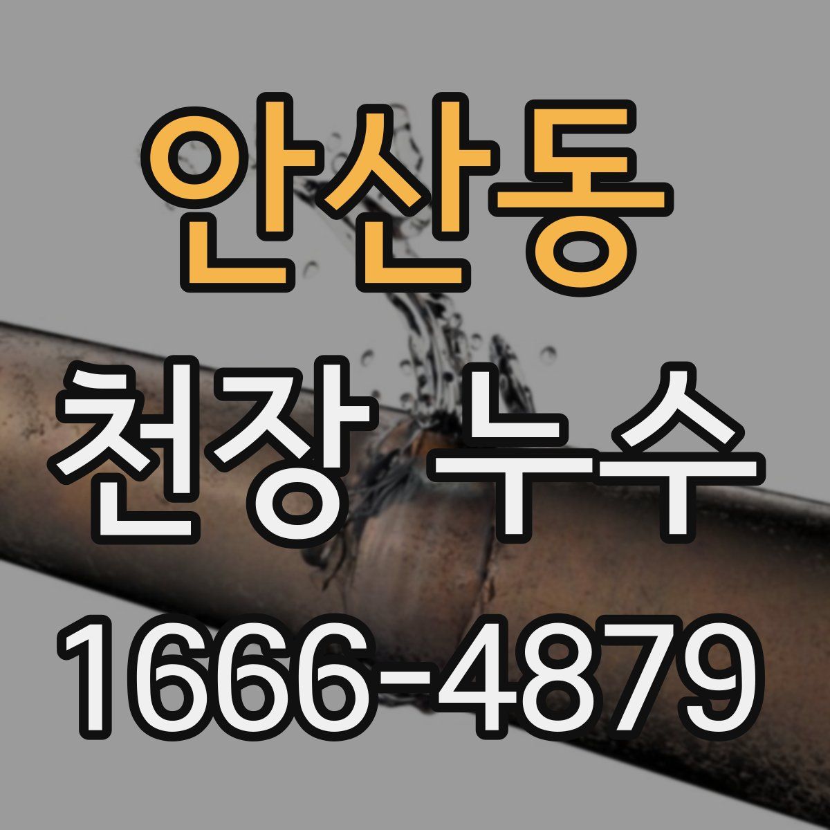 안산동 천장 누수
