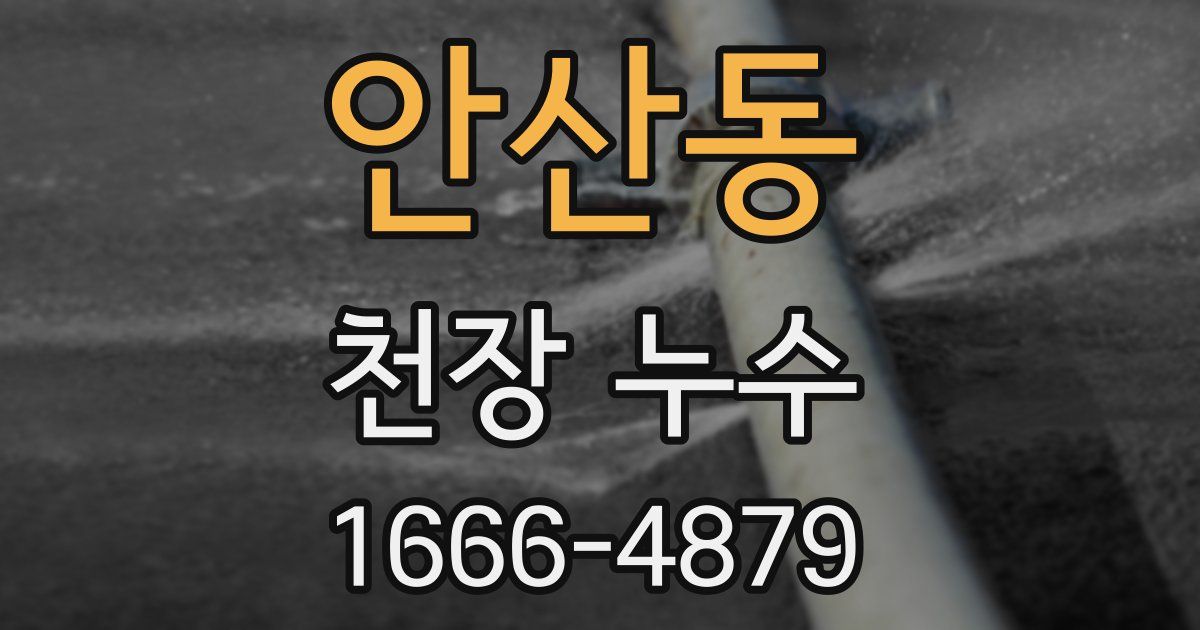 안산동 천장 누수