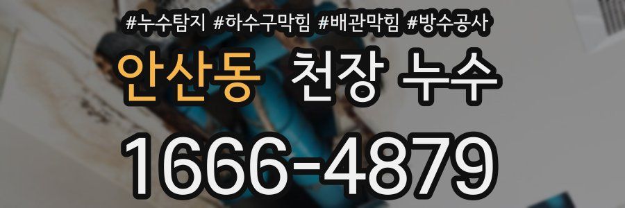 안산동 천장 누수