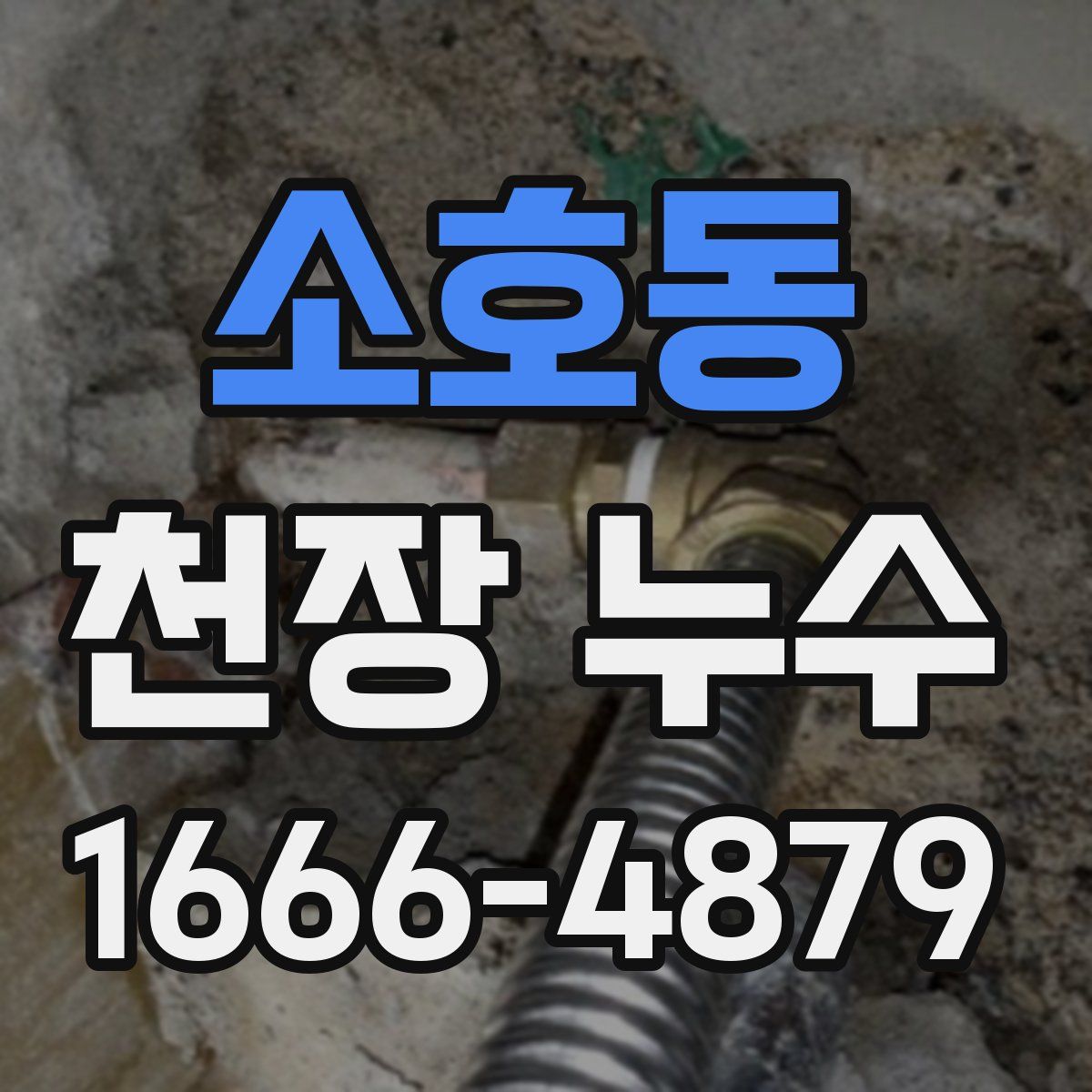 소호동 천장 누수