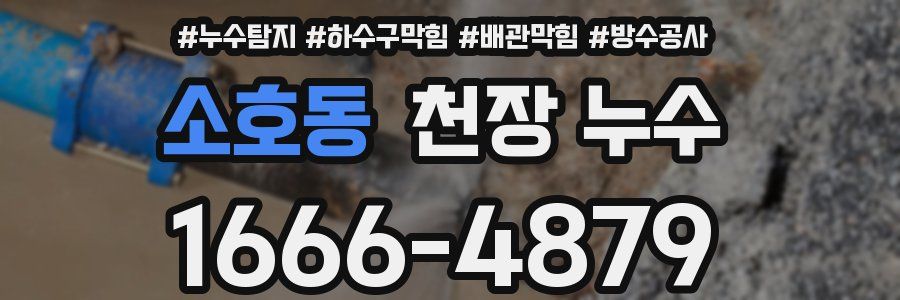 소호동 천장 누수