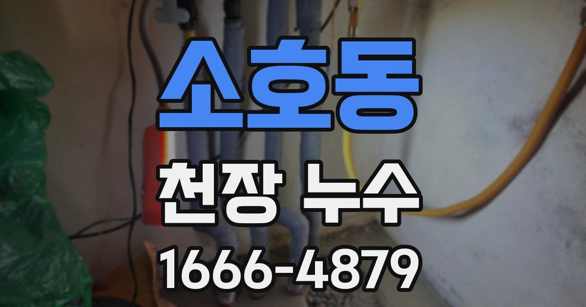 소호동 천장 누수