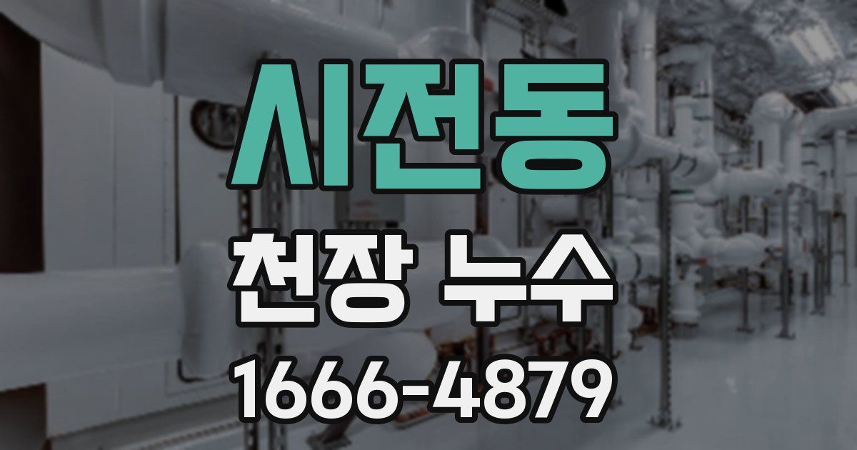 시전동 천장 누수