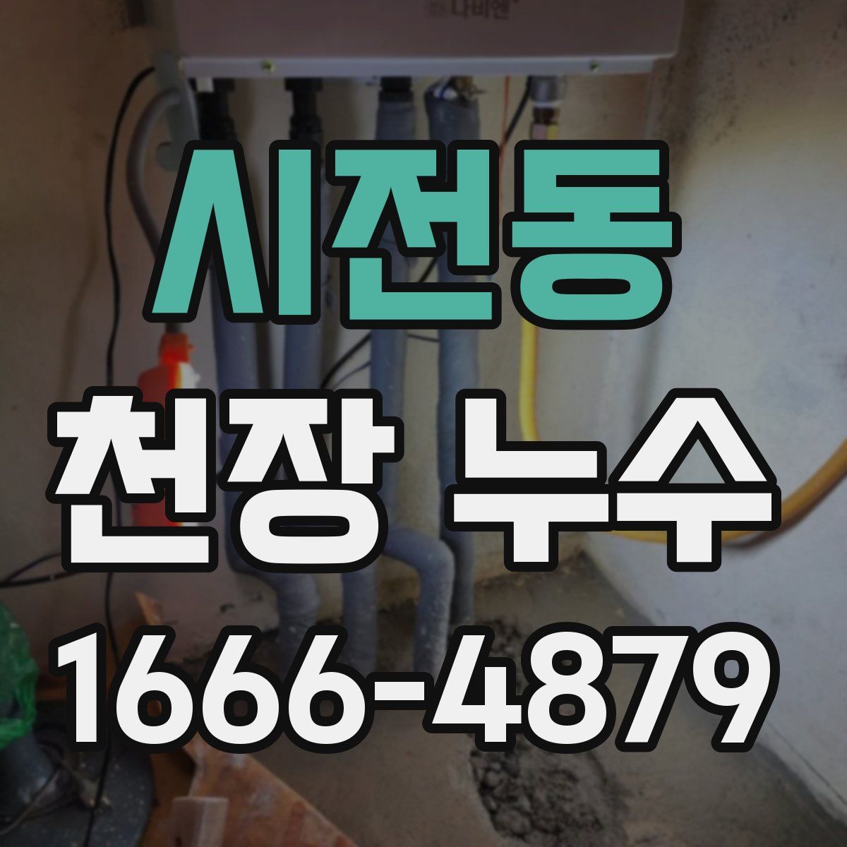 시전동 천장 누수