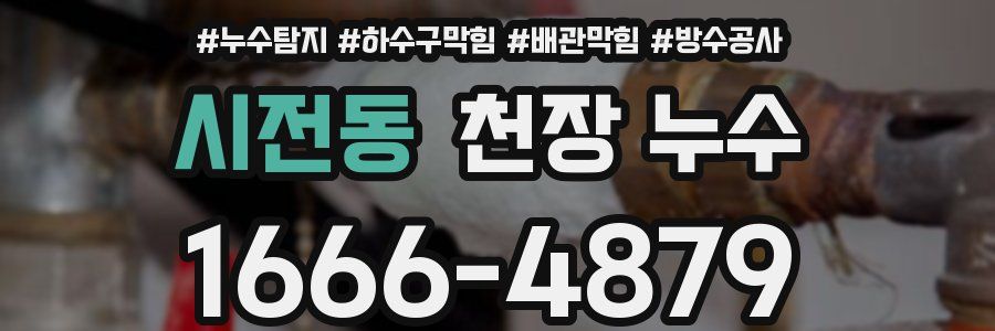 시전동 천장 누수