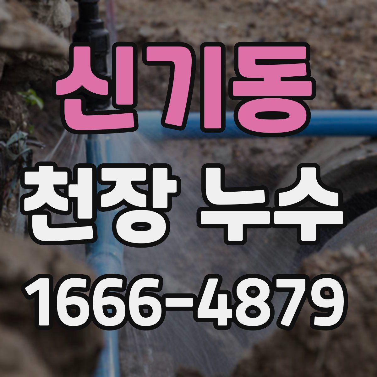 신기동 천장 누수