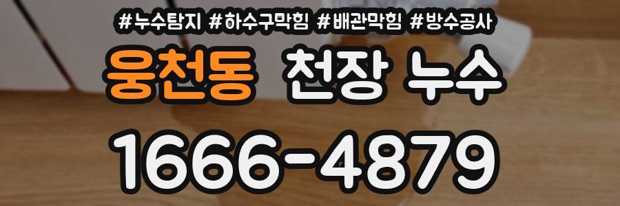 웅천동 천장 누수