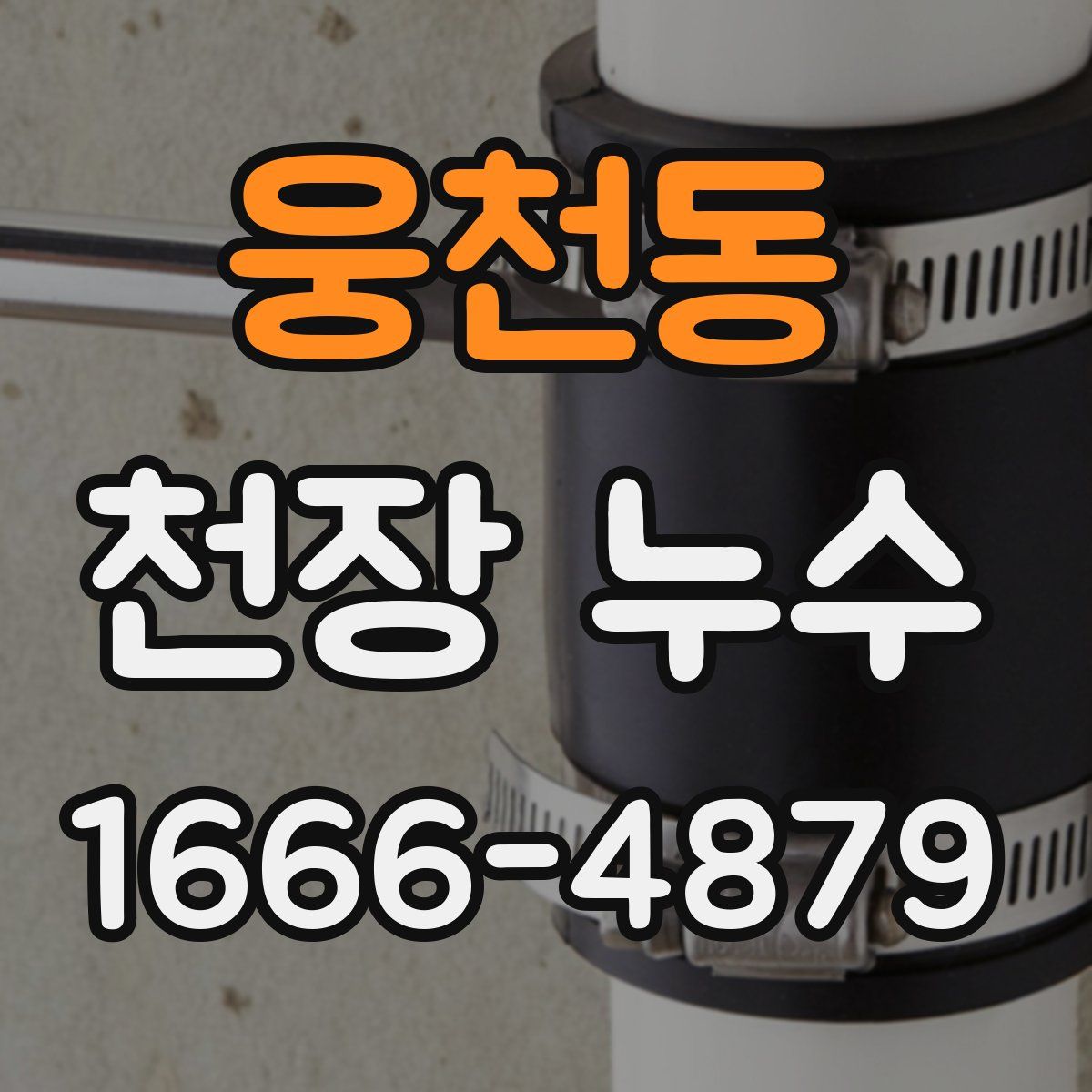 웅천동 천장 누수