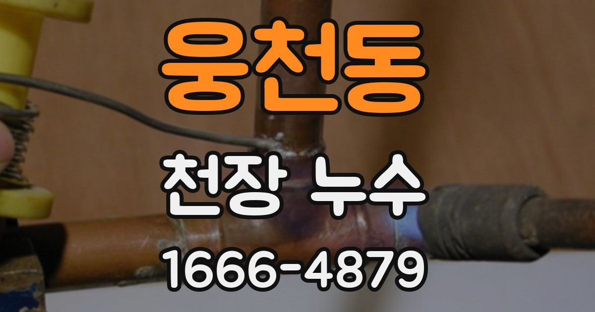 웅천동 천장 누수