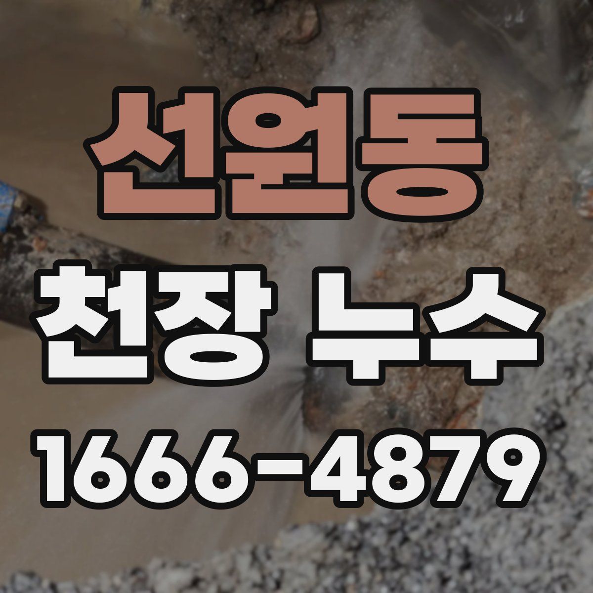 선원동 천장 누수