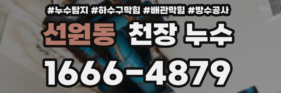 선원동 천장 누수