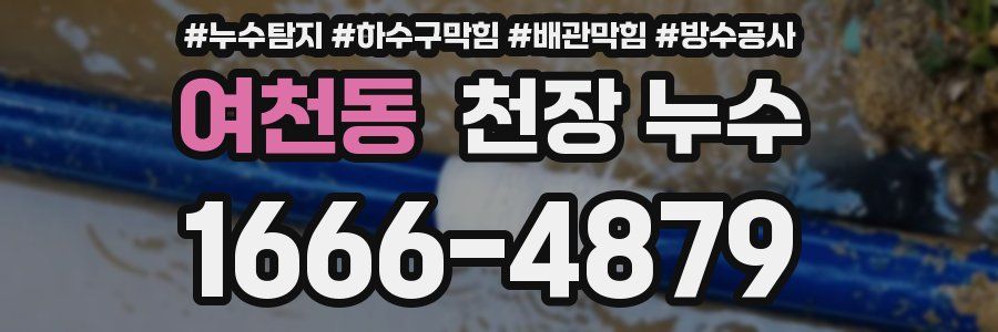 여천동 천장 누수