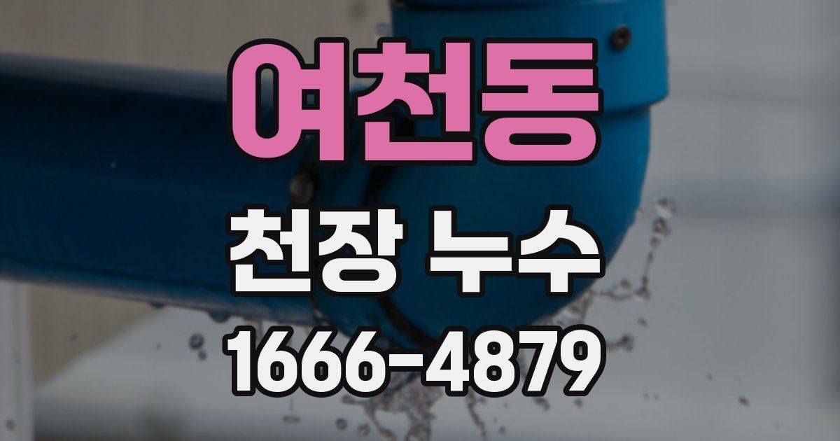 여천동 천장 누수