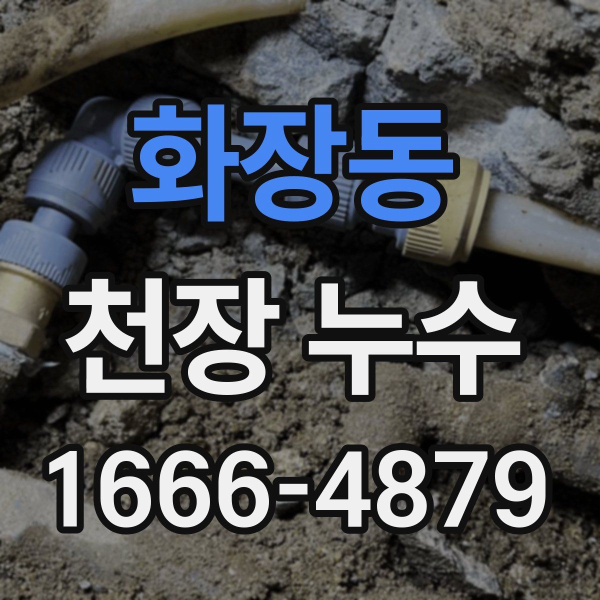화장동 천장 누수