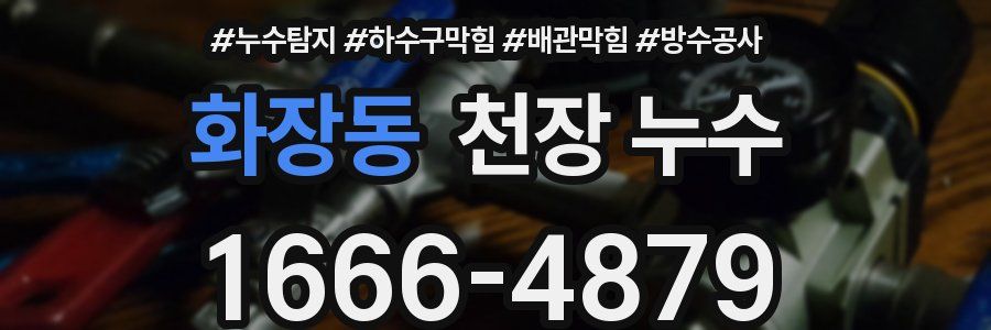 화장동 천장 누수