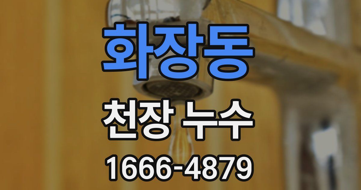 화장동 천장 누수