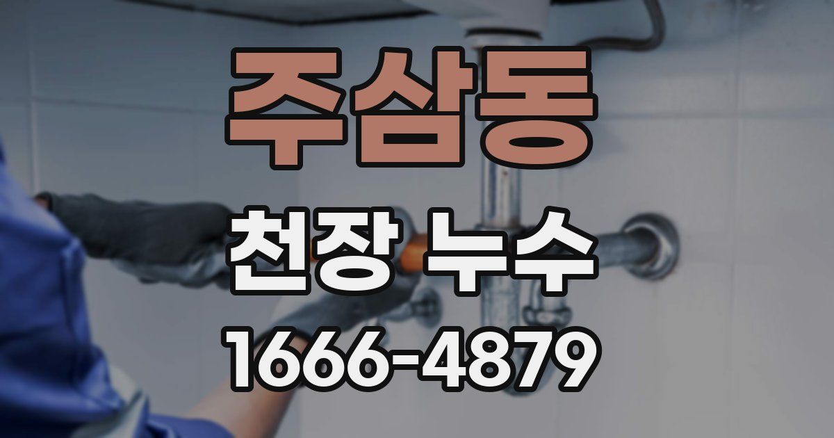 주삼동 천장 누수