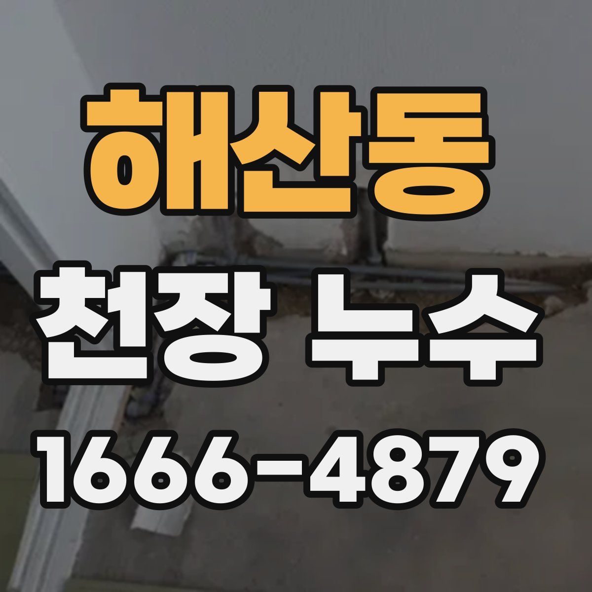 해산동 천장 누수