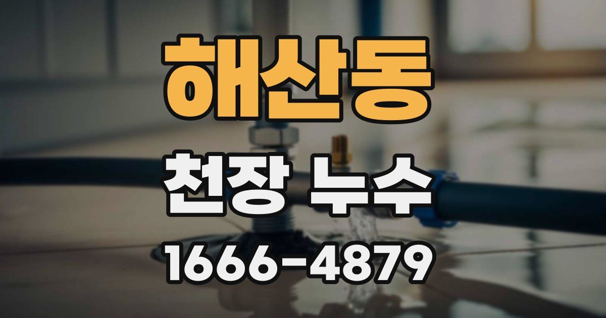 해산동 천장 누수