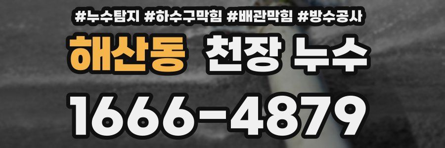 해산동 천장 누수