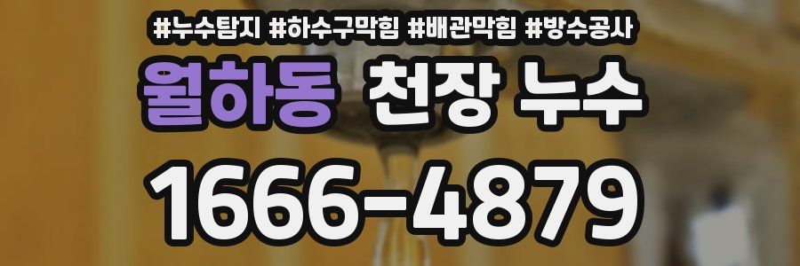 월하동 천장 누수