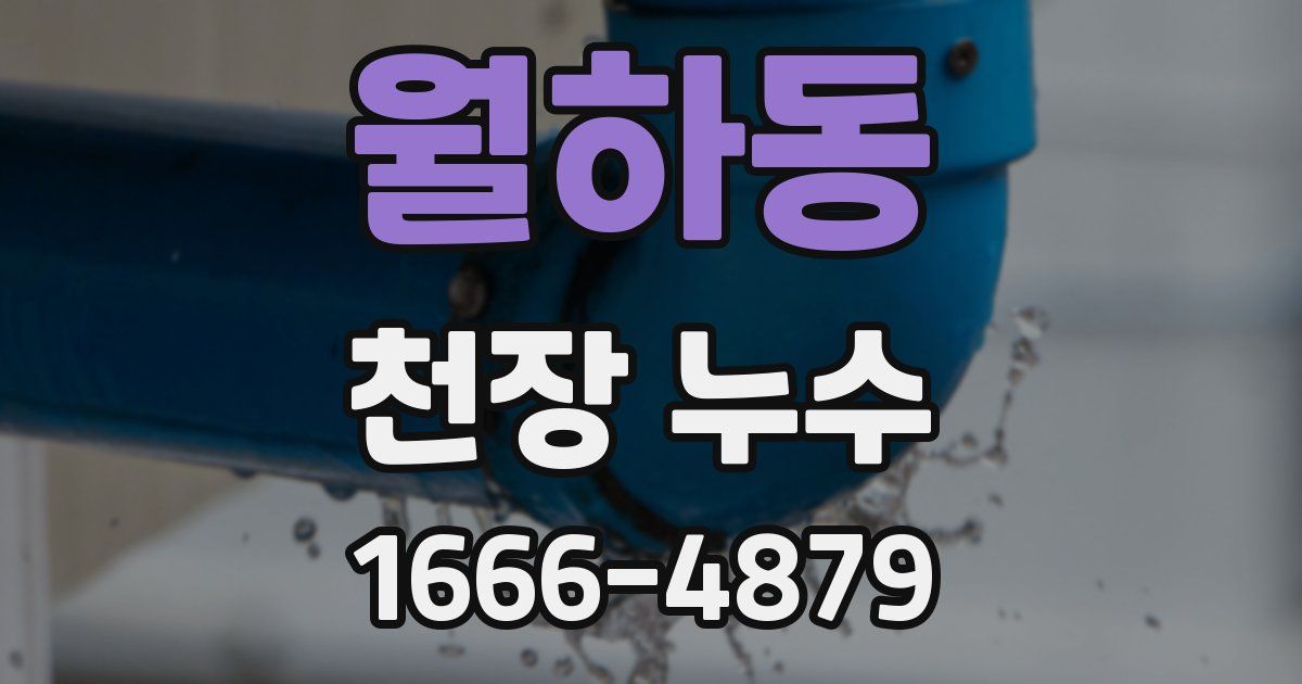 월하동 천장 누수