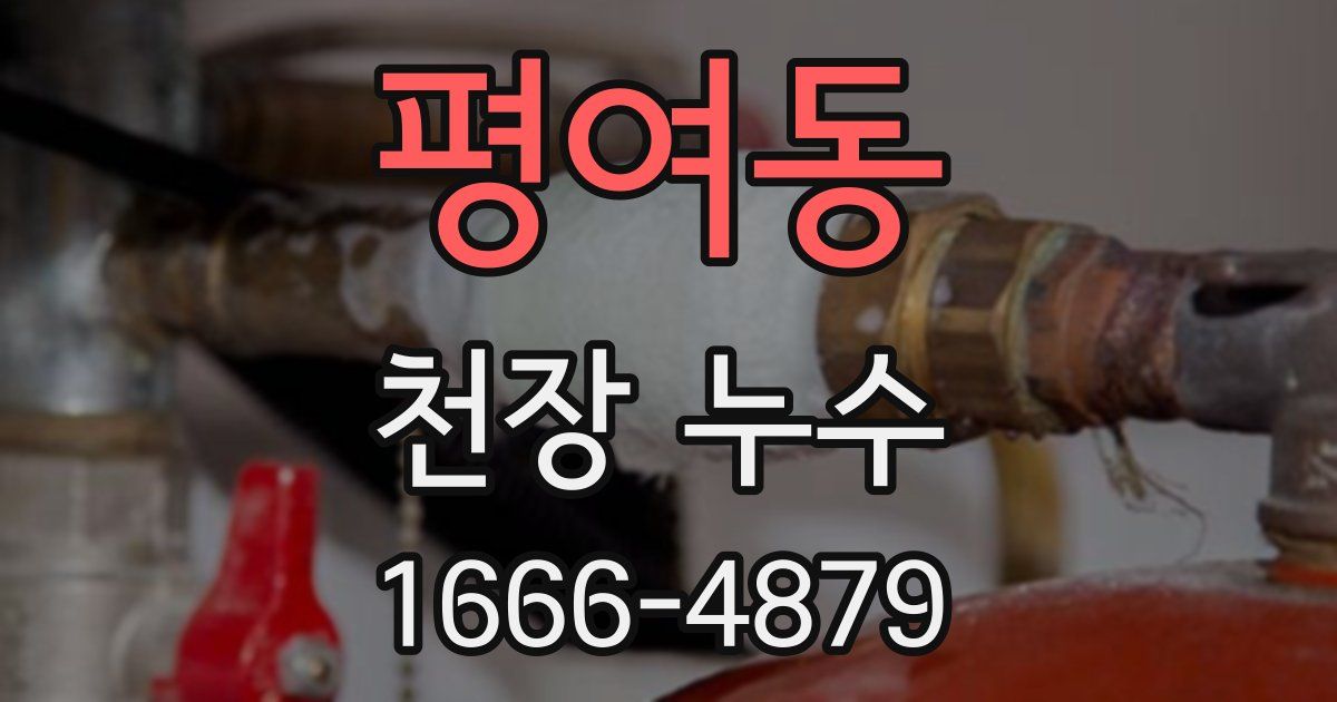 평여동 천장 누수
