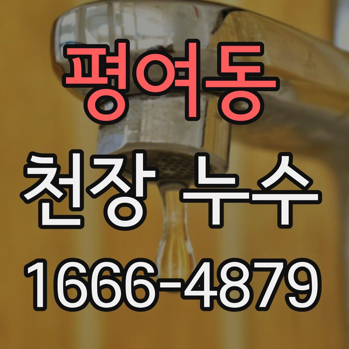 평여동 천장 누수
