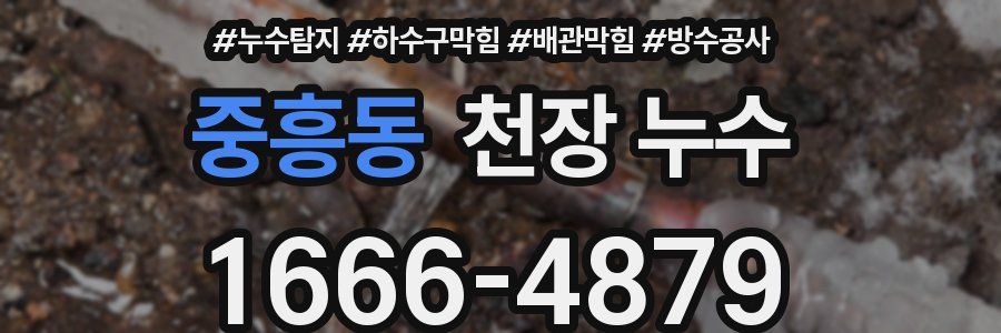 중흥동 천장 누수