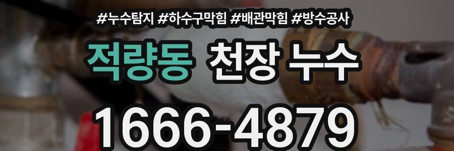 적량동 천장 누수