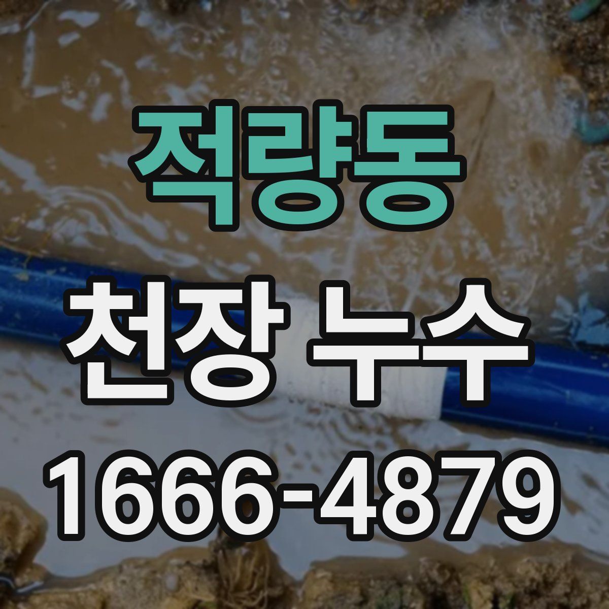 적량동 천장 누수
