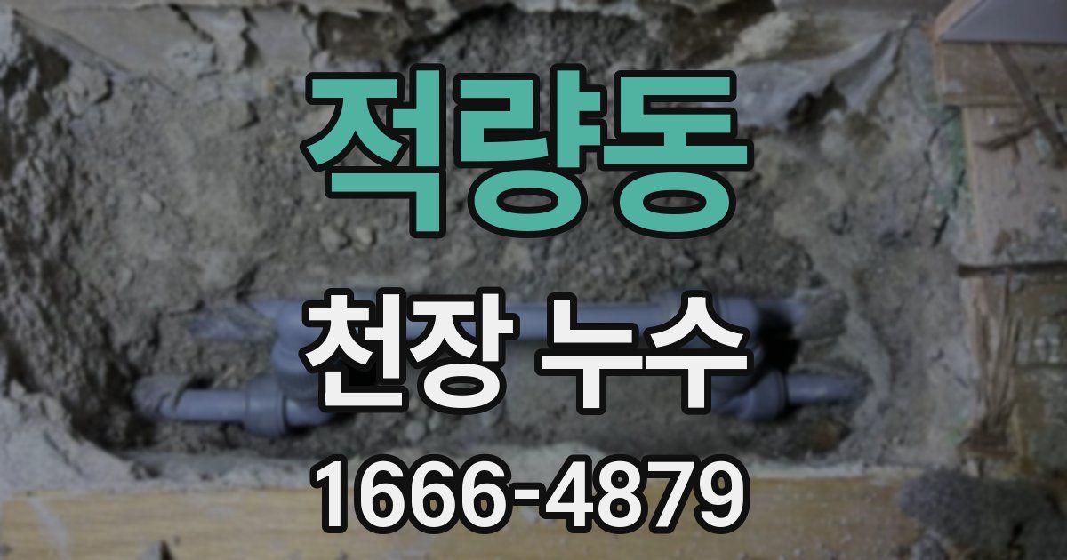 적량동 천장 누수