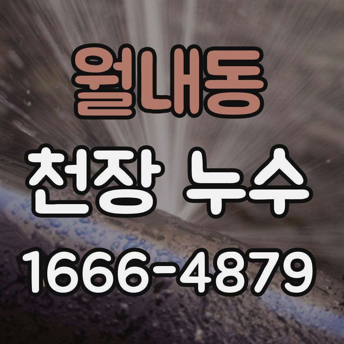 월내동 천장 누수