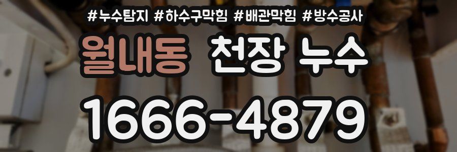 월내동 천장 누수