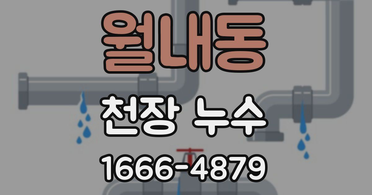 월내동 천장 누수