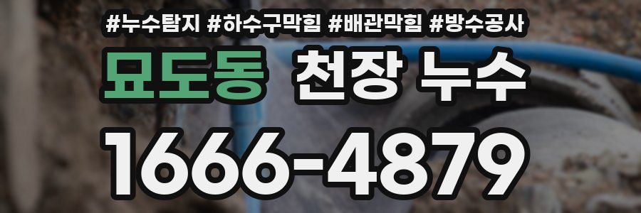 묘도동 천장 누수