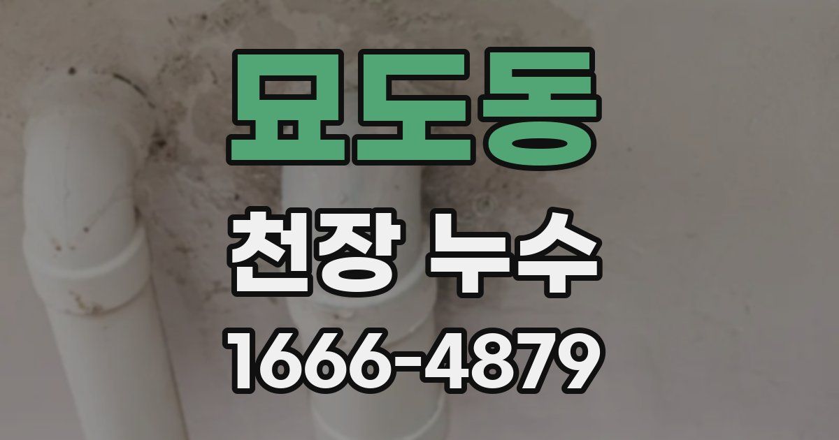 묘도동 천장 누수