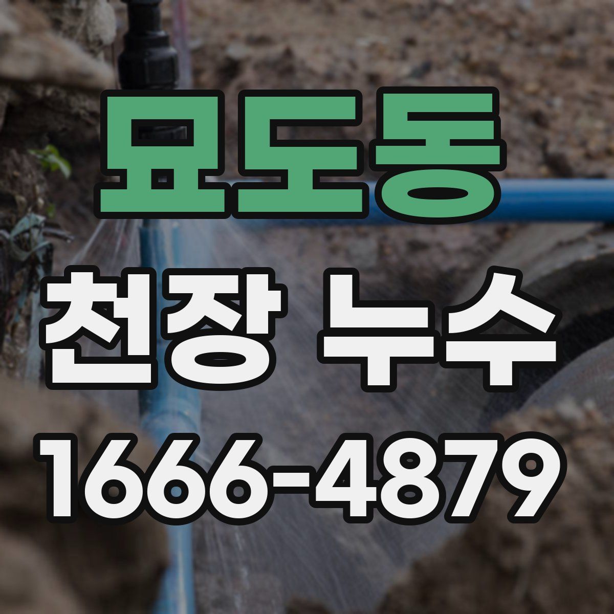 묘도동 천장 누수