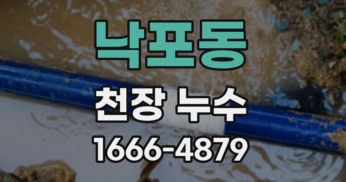 낙포동 천장 누수