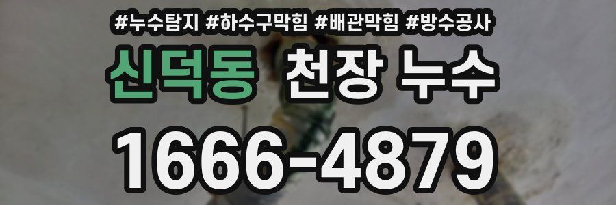 신덕동 천장 누수