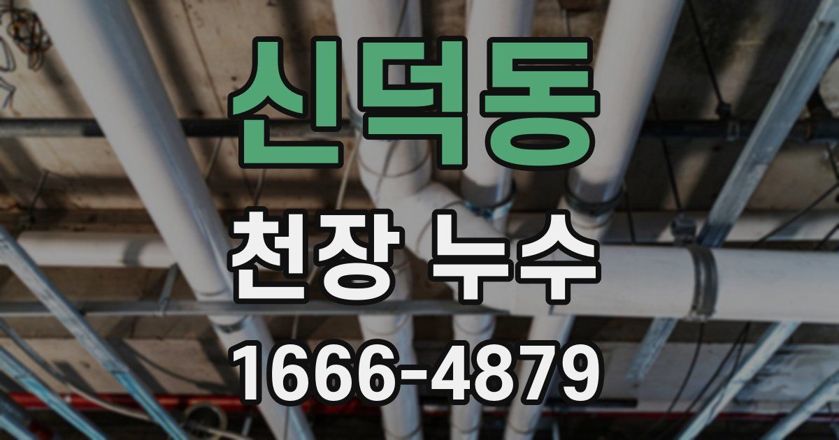 신덕동 천장 누수