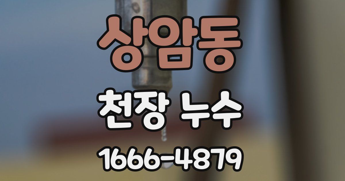 상암동 천장 누수