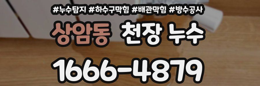 상암동 천장 누수