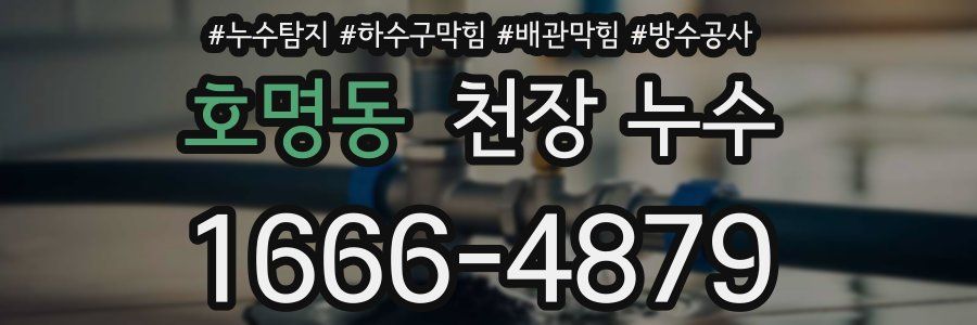 호명동 천장 누수