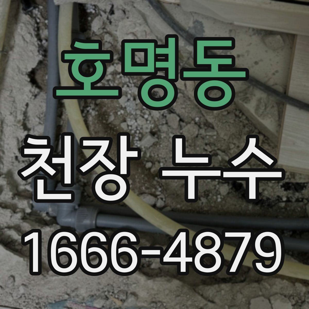 호명동 천장 누수