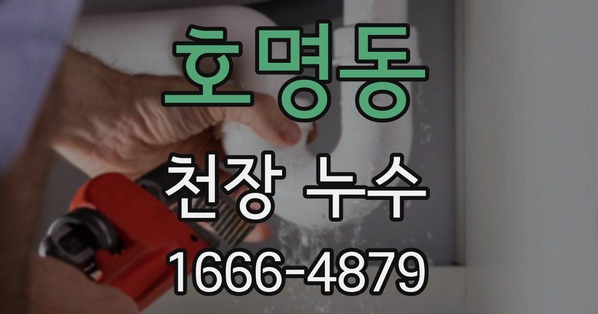 호명동 천장 누수